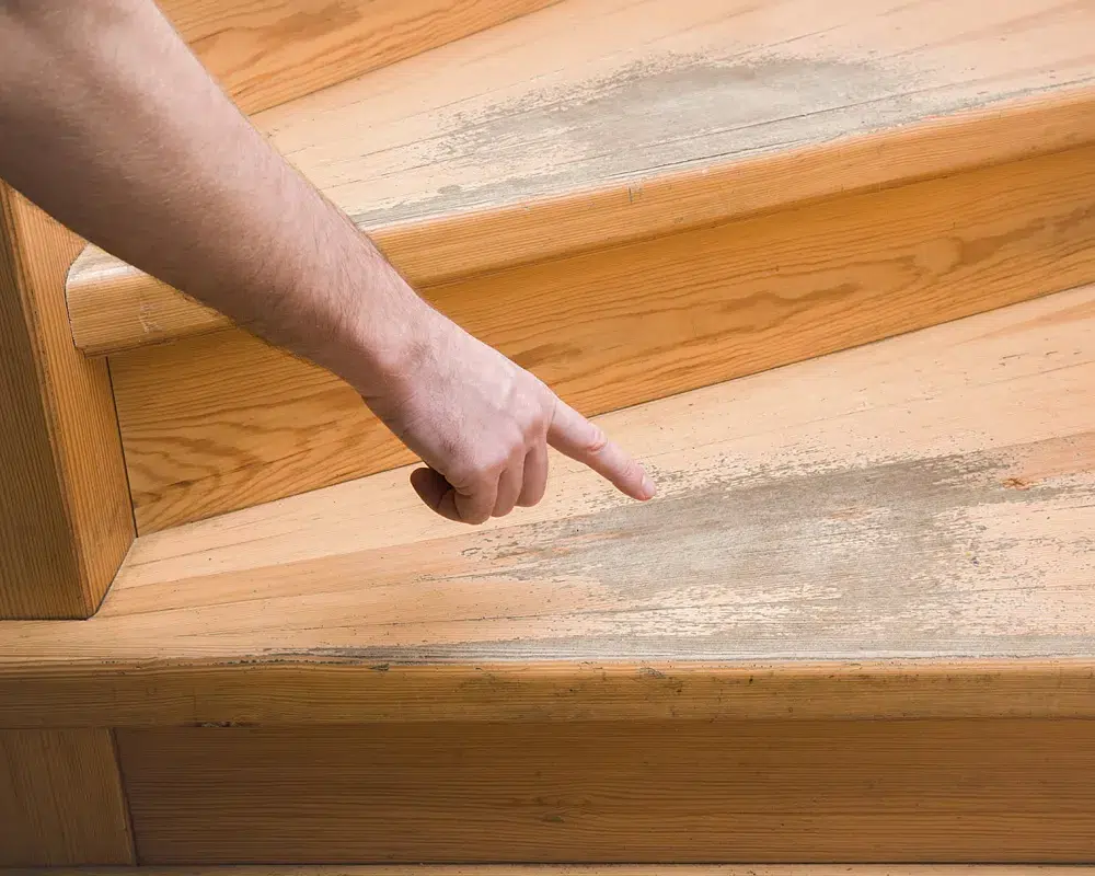 DIMA Parkett - Holzboden reinigen - Warum