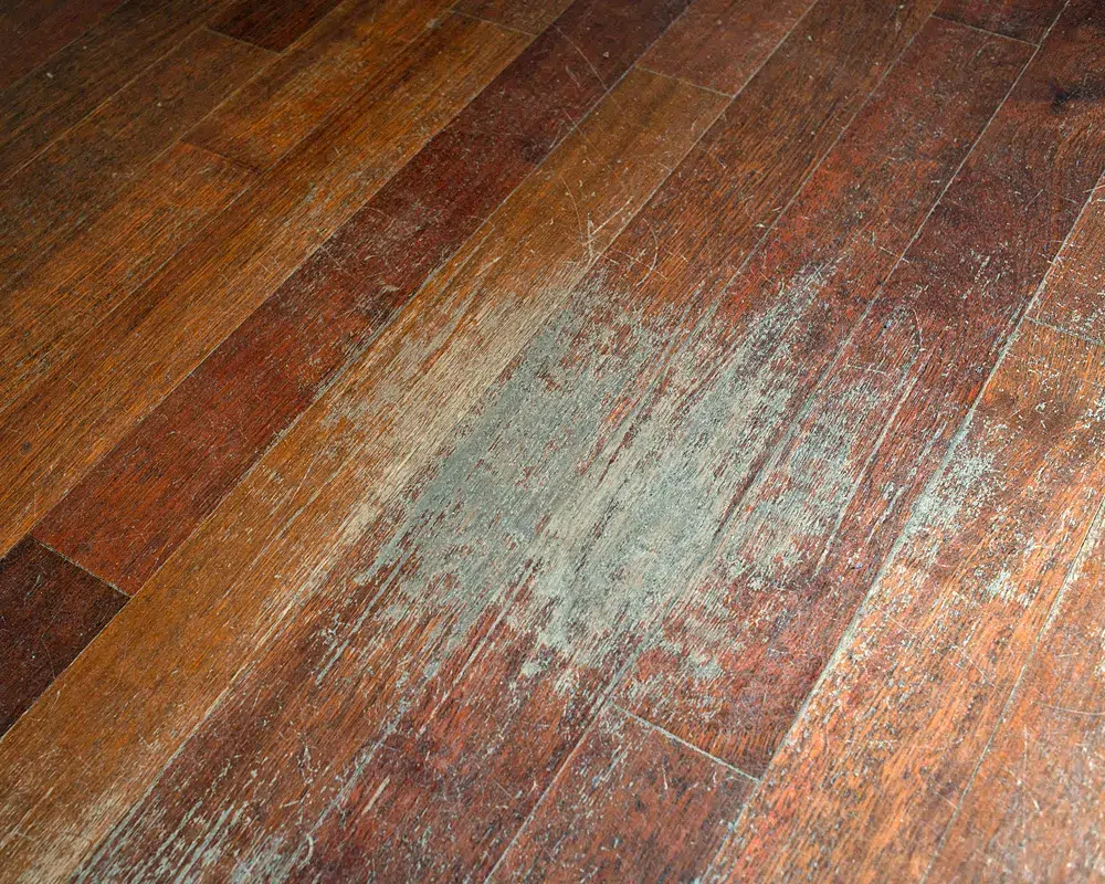 DIMA Parkett - wann sinnvoll Holzboden versiegeln